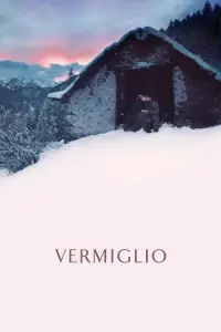 Cover Film Vermiglio